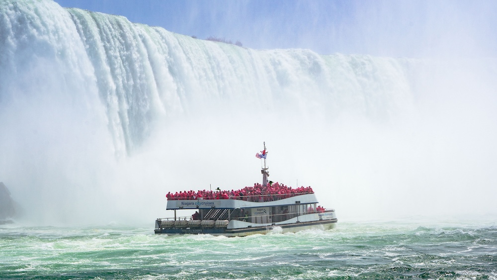 Niagara Falls: Nature Up Close